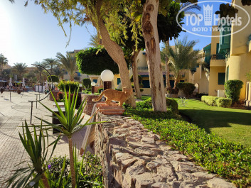 Zahabia Hotel & Beach Resort 4* - Фото отеля