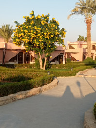 Paradise Abu Soma 4* Территория отеля - Фото отеля