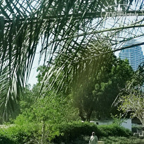 Nejoum Al Emarat 3* - Фото отеля