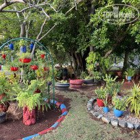Brisas Del Caribe 4* - Фото отеля