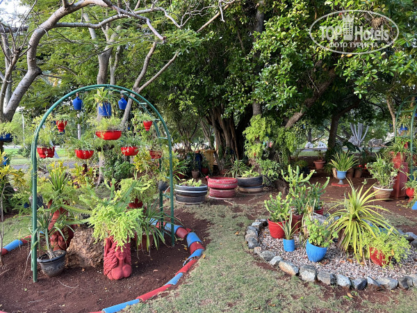 Brisas Del Caribe 4* - Фото отеля