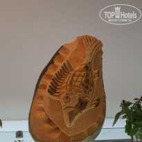 Zahabia Hotel & Beach Resort 4* Вырезают ежедневно новые скульптуры из тыкв! - Фото отеля