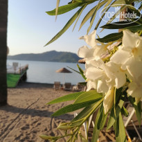 Ideal Prime Beach 5* - Фото отеля