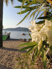 Ideal Prime Beach 5* - Фото отеля
