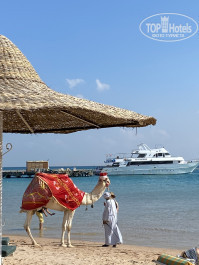 Giftun Azur Resort 3* - Фото отеля