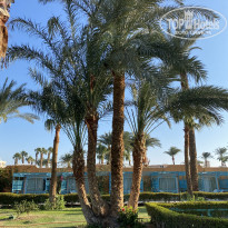 Giftun Azur Resort 3* - Фото отеля