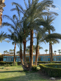 Giftun Azur Resort 3* - Фото отеля