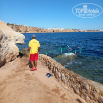 Dreams Vacation Resort Sharm El Sheikh 4* - Фото отеля