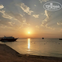 Pickalbatros Aqua Vista Resort - Hurghada 4* - Фото отеля