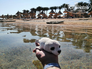 Sharm Grand Plaza Resort 5* - Фото отеля