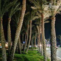 Sharm Grand Plaza Resort 5* - Фото отеля