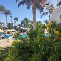 Novotel Sharm el Sheikh (Beach) 5* - Фото отеля