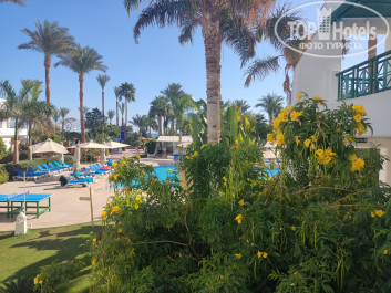 Novotel Sharm el Sheikh (Beach) 5* - Фото отеля