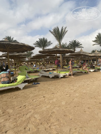 Sea Gull 4* Пляж при отеле - Фото отеля