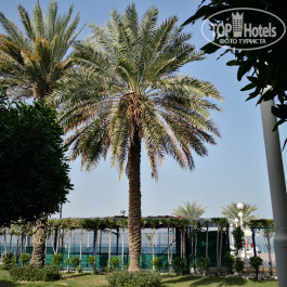 Carlton Sharjah 4* - Фото отеля