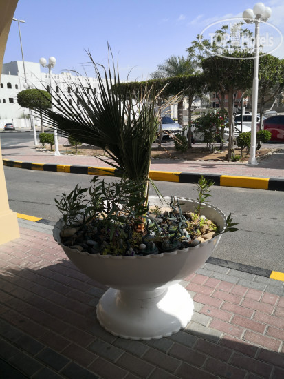 Carlton Sharjah 4* - Фото отеля