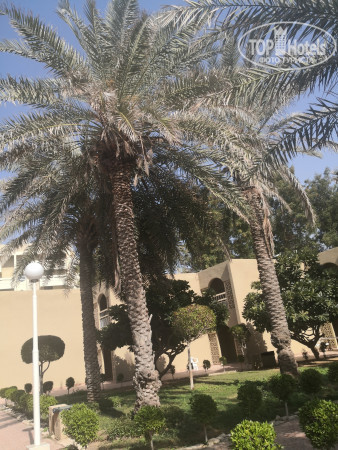 Carlton Sharjah 4* - Фото отеля