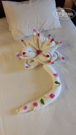 Stella Beach Resort & SPA Makadi Bay 5* - Фото отеля