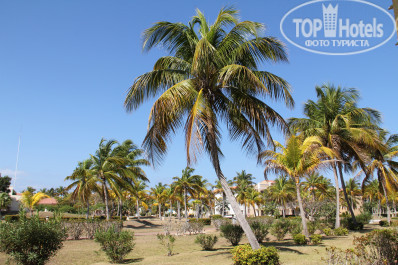 Memories Varadero Beach Resort 4* - Фото отеля