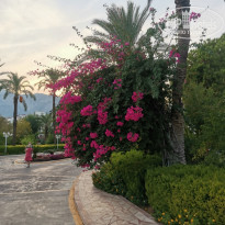 Alva Donna World Palace 5* - Фото отеля