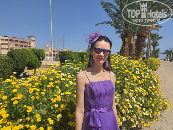 Zahabia Hotel & Beach Resort 4* Ромашковые заросли по дороге на пляж - Фото отеля