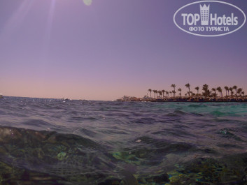 Zahabia Hotel & Beach Resort 4* Сиреневые предзакатные краски - Фото отеля