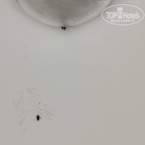 Starfish Varadero 3* След от тапка и убитая муха на стене - Фото отеля