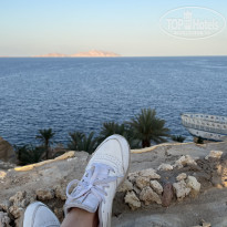 Dreams Vacation Resort Sharm El Sheikh 4* - Фото отеля