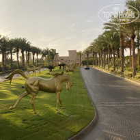 Sharjah Premiere Hotel & Resorts 3* - Фото отеля