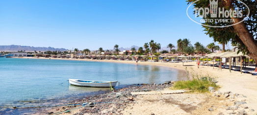 Paradise Abu Soma 4* - Фото отеля