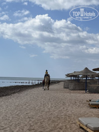 Mosaique Beach Resort Taba Heights 5* - Фото отеля