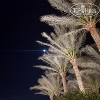 Sharm Grand Plaza Resort 5* Финиковые пальмы и луна - Фото отеля