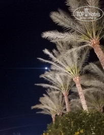 Sharm Grand Plaza Resort 5* Финиковые пальмы и луна - Фото отеля
