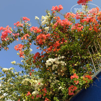 A Good Life Utopia Family Resort 5* - Фото отеля