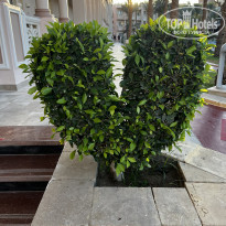 Pickalbatros Palace Resort - Hurghada 5* - Фото отеля
