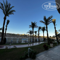 Pickalbatros Palace Resort - Hurghada 5* У бассейна тоже и шезлонги, и шале, как на пляже - Фото отеля