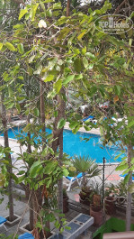 Baan Vanida Garden Resort 3* Вид с балкона.
- Фото отеля