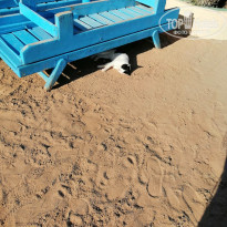 Zahabia Hotel & Beach Resort 4* - Фото отеля