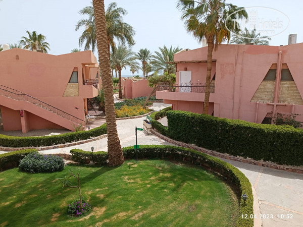 Paradise Abu Soma 4* - Фото отеля