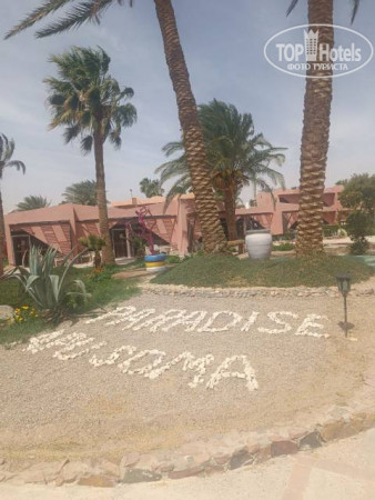 Paradise Abu Soma 4* - Фото отеля