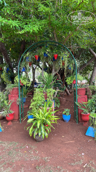Brisas Del Caribe 4* - Фото отеля