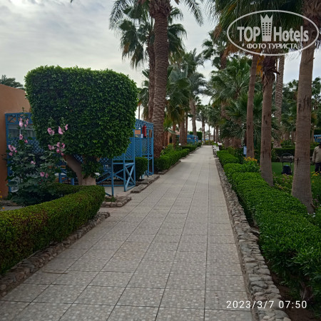 Giftun Azur Resort 3* - Фото отеля