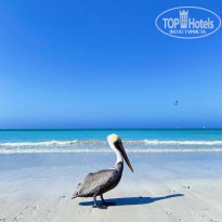 Starfish Varadero 3* Пляж - Фото отеля