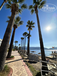 Ideal Prime Beach 5* - Фото отеля