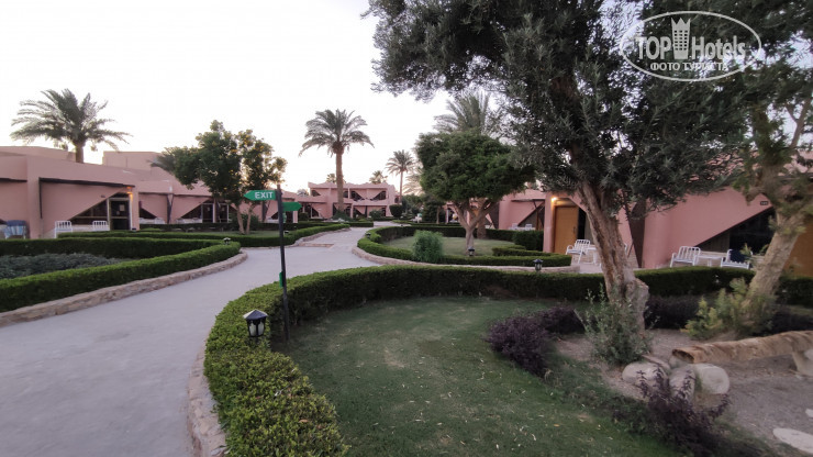 Paradise Abu Soma 4* - Фото отеля