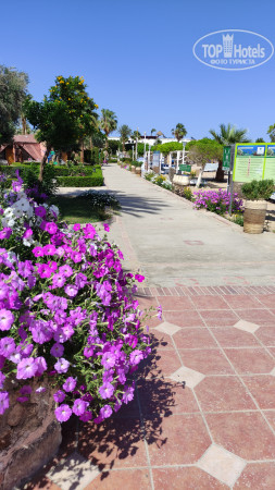 Paradise Abu Soma 4* - Фото отеля