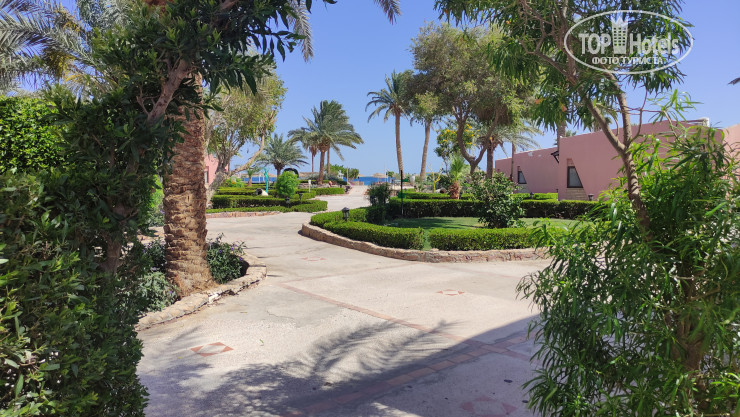 Paradise Abu Soma 4* - Фото отеля
