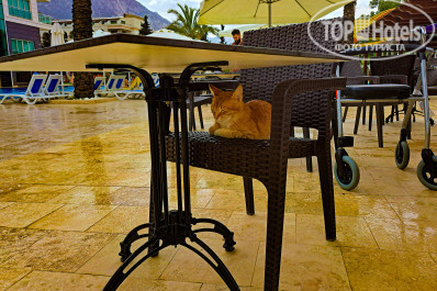 Grand Ring 5* - Фото отеля
