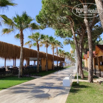 Alva Donna World Palace 5* - Фото отеля