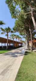 Alva Donna World Palace 5* - Фото отеля